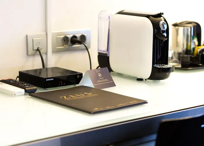 Hotel Zeus Essence 3*